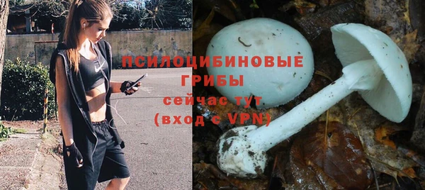 прущие крисы Абаза