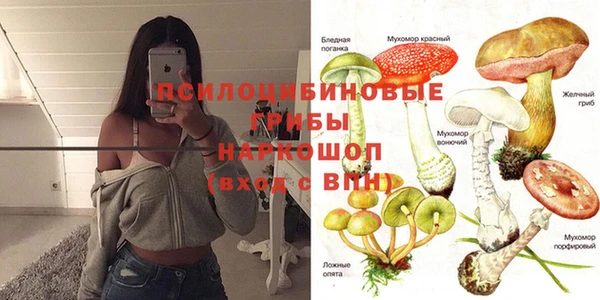 прущие крисы Абаза