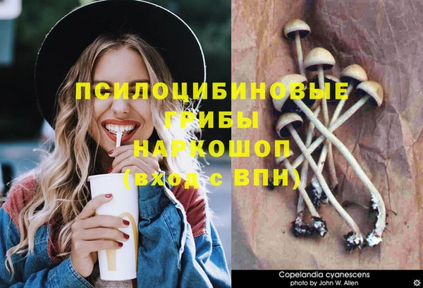 первитин Абинск