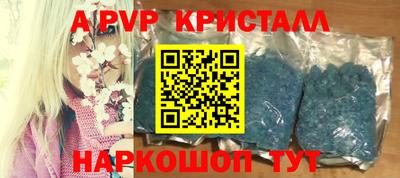 jwh Кингисепп
