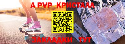 jwh Кингисепп