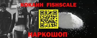 jwh Кингисепп