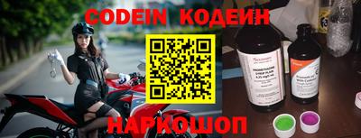 jwh Кингисепп