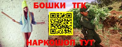 jwh Кингисепп
