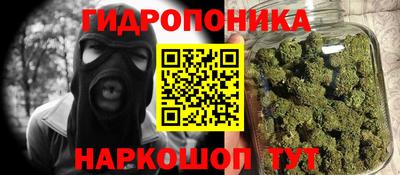 jwh Кингисепп