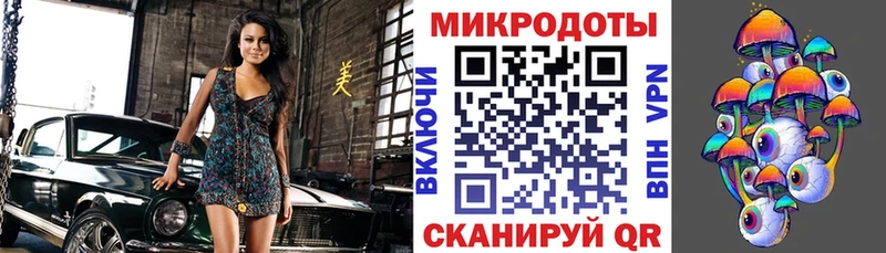 закладка  Кохма  Псилоцибиновые грибы GOLDEN TEACHER 