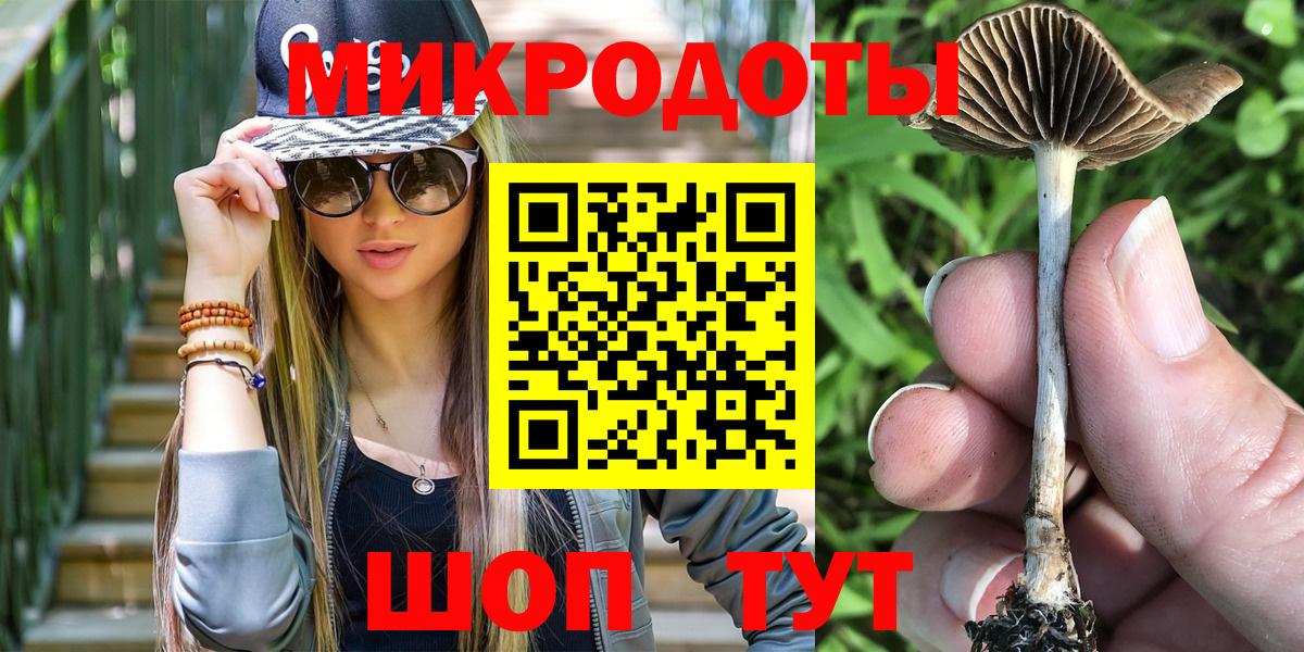 Псилоцибиновые грибы мухоморы Кохма