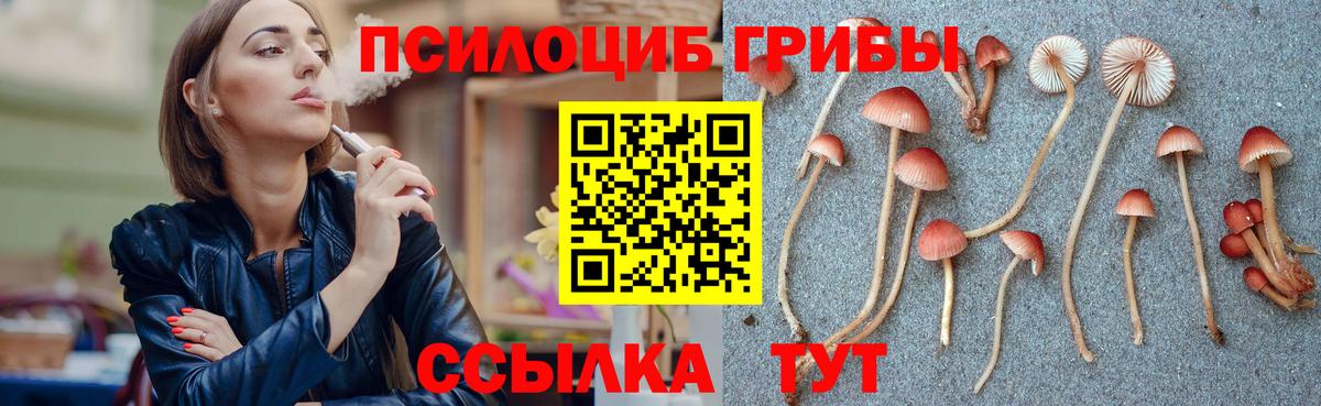 Кохма  Псилоцибиновые грибы Magic Shrooms  Вход с VPN  Галлюциногенные грибы мухоморы 